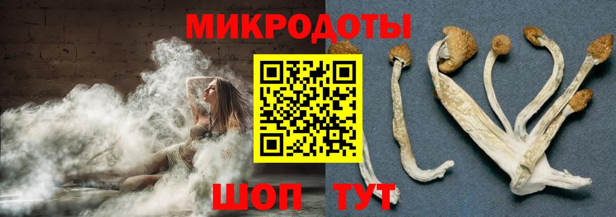 Псилоцибиновые грибы Cubensis  где купить наркотик  Елец  Вход с VPN 